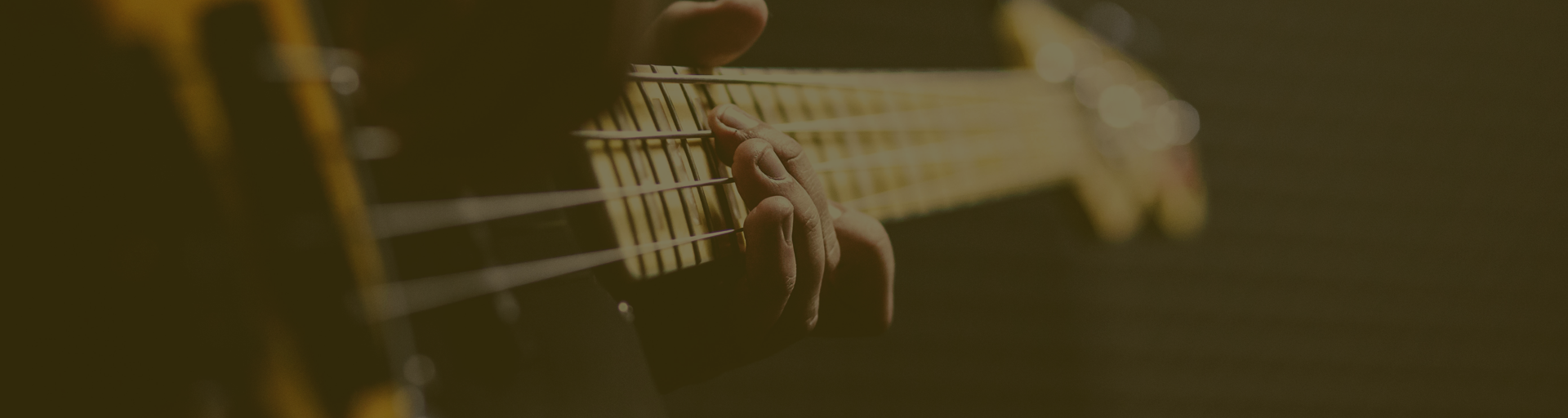 banner 2